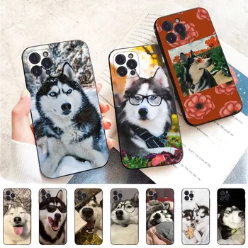 Animal Husky Dog Puppy Калъф за телефон Силиконов мек за iphone 15 14 13 12 11 Pro Mini XS MAX 8 7 6 Plus X XS XR Cover