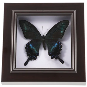 Симулиран образец на пеперуда Ръчно изработени редки и изящни образци Декор Стенен висящ образец за образование Колекция Rese